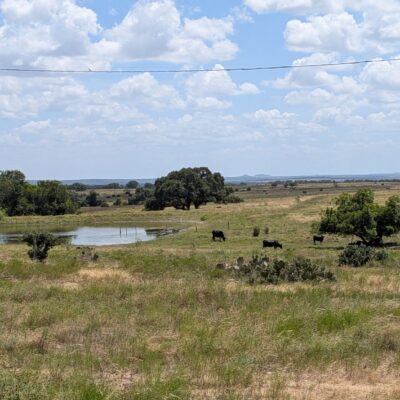 A Point Of View From A Country Road